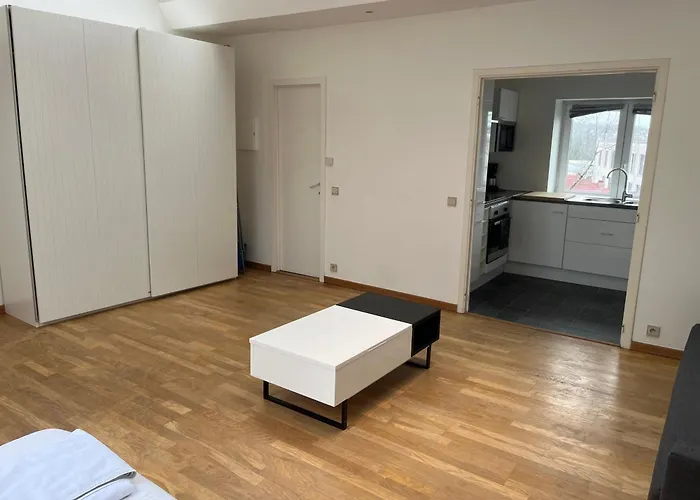 Uccle Chic Flat